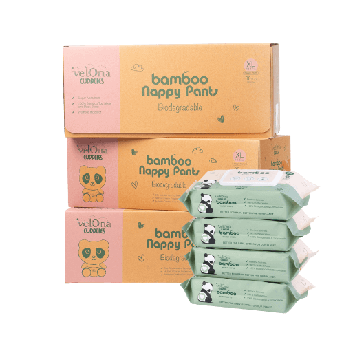 Size 5 Nappy Pants and Water Wipes Subscription Bundle