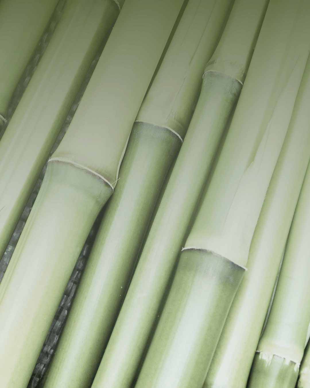 Why use bamboo wipes