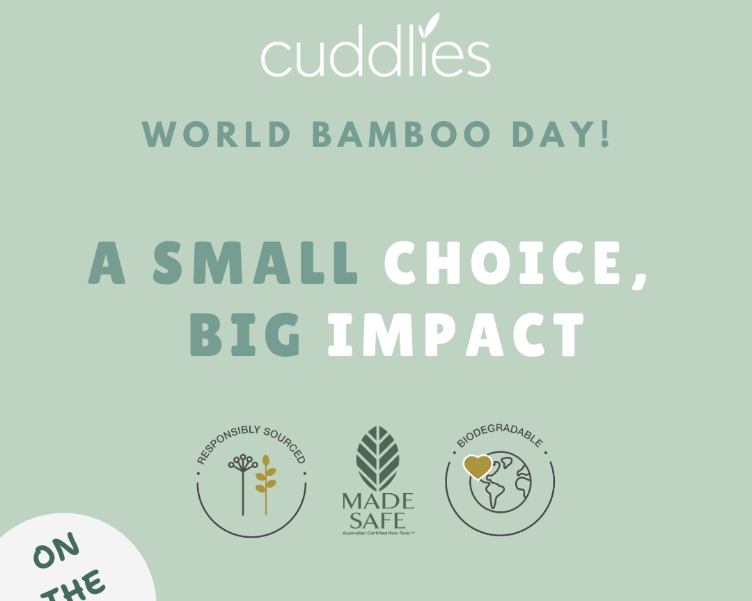World Bamboo Day in Celebration of Sustainable use of Bamboo