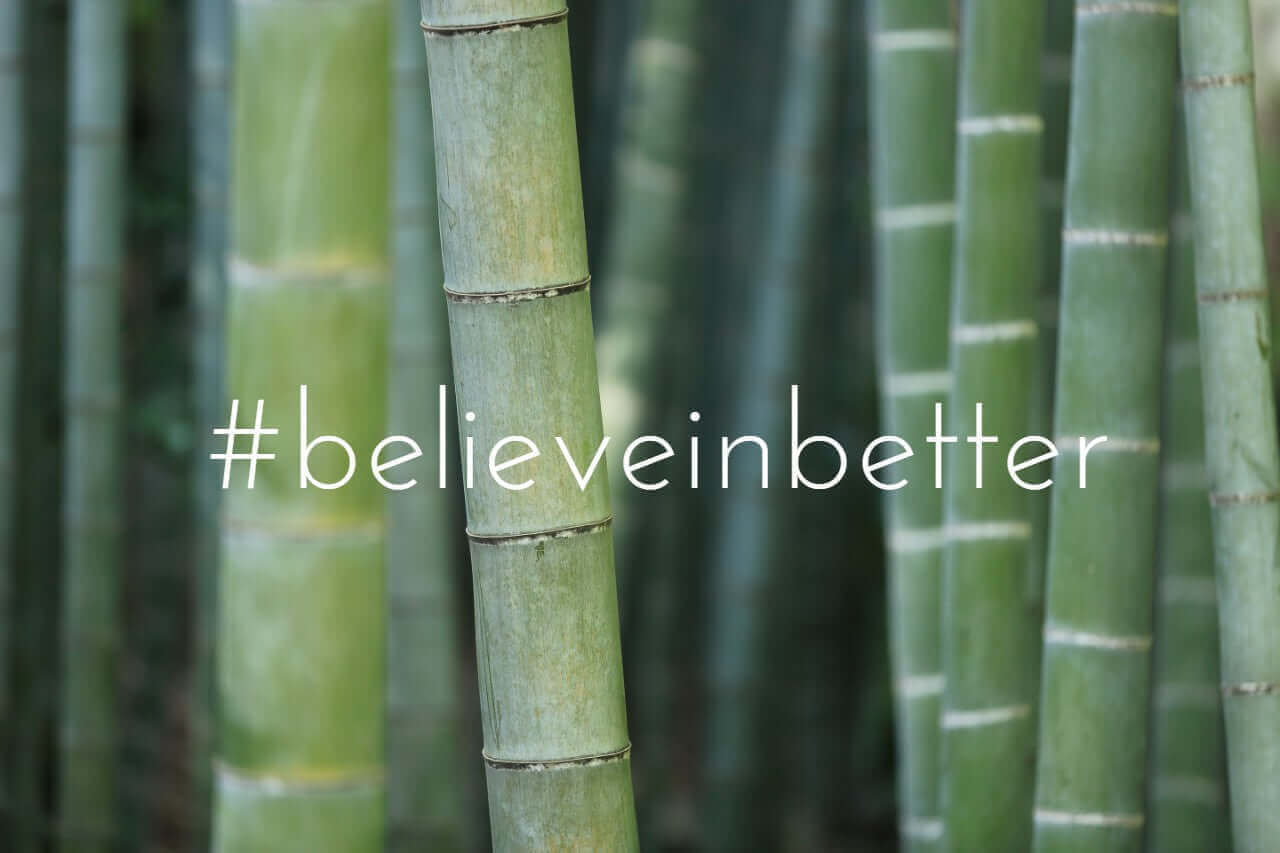 Bamboo backdrop – symbolising natural, sustainable materials used in eco nappies and wipes