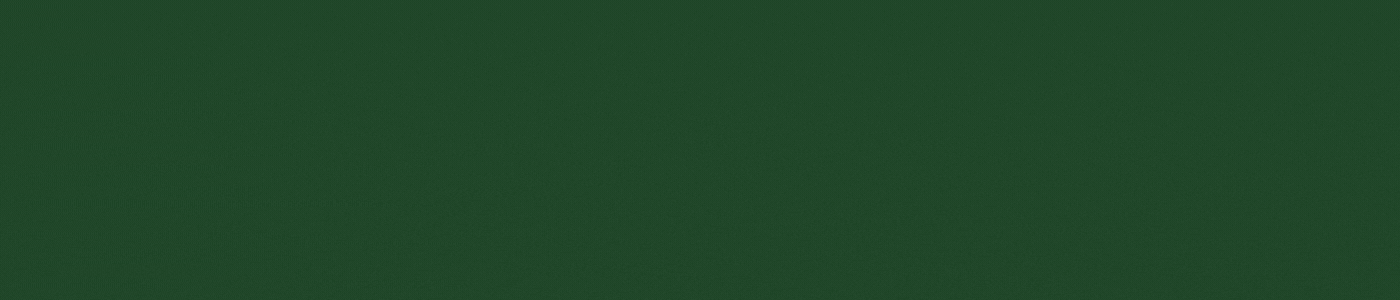 Website Banner - green