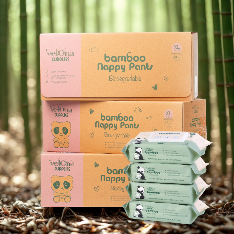 Walker size 5 nappy pants and wipes subscription – bamboo nappies and non-toxic baby wipes for on-the-go toddlers